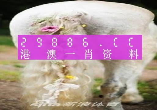 澳门管家婆100%精准香港与2025澳门精准正版免费四不像,全面释义、解释与落实